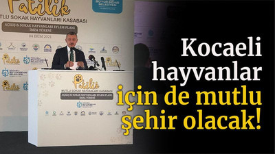 Kocaeli hayvanlar için de mutlu şehir olacak!